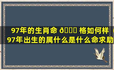 97年的生肖命 🐛 格如何样（97年出生的属什么是什么命求助）